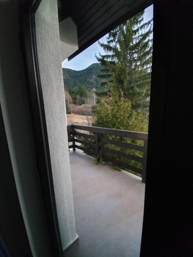 Vila Berlin Guest house Poiana Brasov