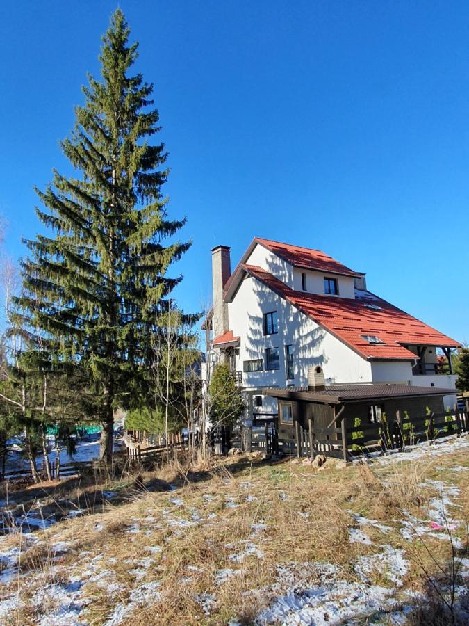 Vila Berlin Guest house Poiana Brasov